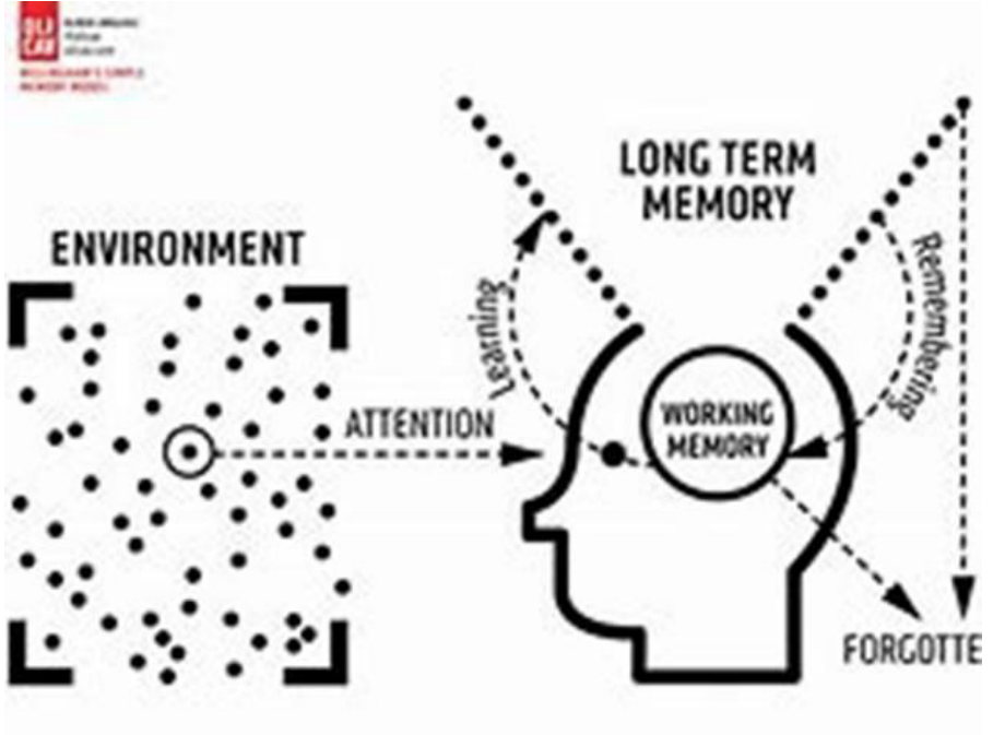 long-term-memory-img